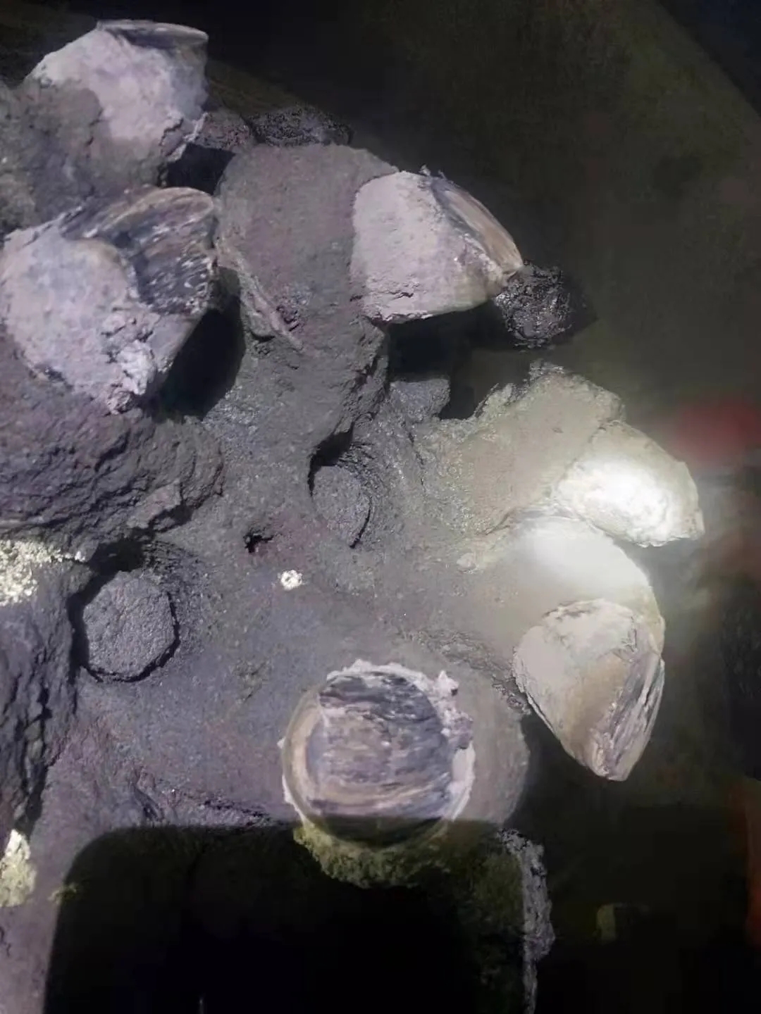 株洲信達(dá)機(jī)械科技股份有限公司,株洲煤截齒,掘進(jìn)齒銷售